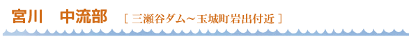 宮川中流部　三瀬谷ダム～玉城町岩出付近