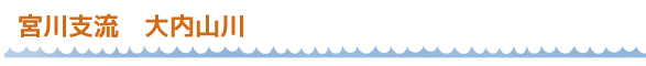 宮川支流　大内山川
