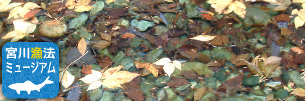 宮川漁法ミュージアム